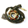 Estátor con bobina de encendido ELECTROSPORT - Suzuki RM-Z250 - motoscamaralweb.com