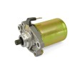 Motor de arranque TECNIUM - Piaggio 50CC - motoscamaralweb.com