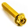 Tornillo Aluminio Race Spec Pro-Bolt LHX640RGE Oro - motoscamaralweb.com