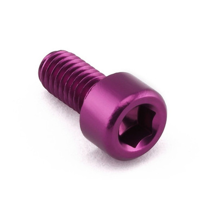 Tornillo de Aluminio Pro-bolt cabeza cilíndrica M6 x (1.0mm) x 12mm violeta LPB508P - motoscamaralweb.com Tornillo de Aluminio Pro-bolt cabeza cilíndrica M6 x (1.0mm) x 12mm violeta LPB508P - motoscamaralweb.com