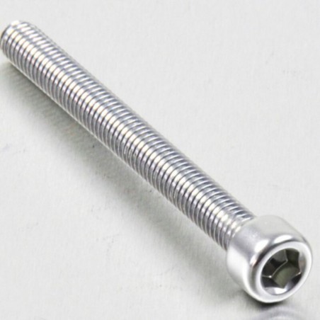 Tornillo de Aluminio Pro-bolt cabeza cilíndrica M6 x (1.00mm) x 65mm plata LPB665S - motoscamaralweb.com
