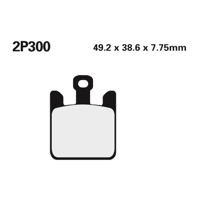 Juego pastillas de freno NISSIN 2P300ST Del. ZX10-R 04-07 - motoscamaralweb.com