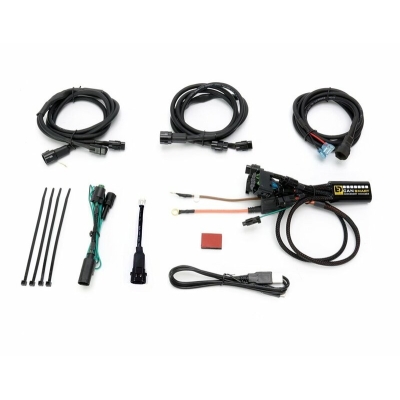 Controlador Canbus Plug-N-Play DENALI CANsmart Gen II BMW R1200 Hex Head - motoscamaralweb.com