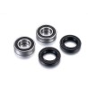 Kit de rodamientos de rueda FACTORY LINKS - motoscamaralweb.com