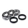 Kit de rodamientos de rueda FACTORY LINKS - motoscamaralweb.com
