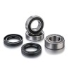 Kit de rodamientos de rueda FACTORY LINKS - motoscamaralweb.com