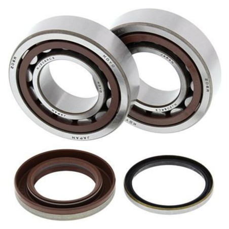 Kit rodamientos y retenes de cigüeñal ALL BALLS 24-1105 - motoscamaralweb.com