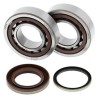 Kit rodamientos y retenes de cigüeñal ALL BALLS 24-1105 - motoscamaralweb.com