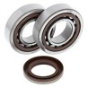 Kit rodamientos y retenes de cigüeñal ALL BALLS 24-1106 - motoscamaralweb.com