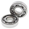 Kit rodamientos de cigüeñal ALL BALLS Suzuki LTR450 - motoscamaralweb.com