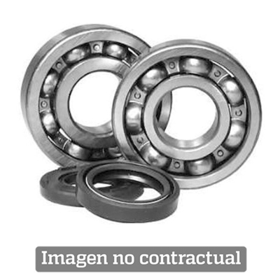 Kit rodamientos y retenes de cigüeñal ALL BALLS 24-1015 - motoscamaralweb.com