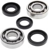 Kit rodamientos y retenes de cigüeñal ALL BALLS 24-1022 - motoscamaralweb.com