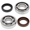 Kit rodamientos y retenes de cigüeñal ALL BALLS 24-1072 - motoscamaralweb.com