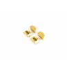 Embellecedores estriberas GILLES TOOLING VCR38 dorado - motoscamaralweb.com