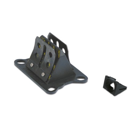 Caja de láminas carbono MALOSSI VL6 - Motor Derbi Euro 2/3/4 y Minarelli AM6 - motoscamaralweb.com