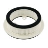 Filtro de Aire Hiflofiltro HFA4506 - motoscamaralweb.com