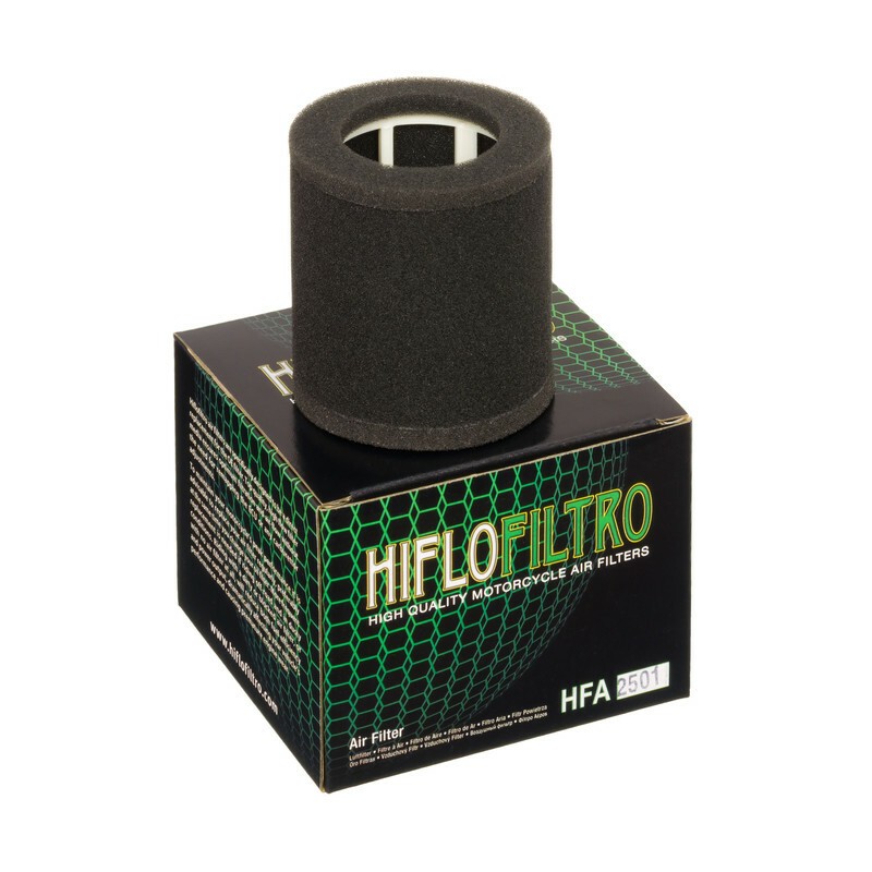 Filtro de aire HIFLOFILTRO - HFA2501 - motoscamaralweb.com Filtro de aire HIFLOFILTRO - HFA2501 - motoscamaralweb.com