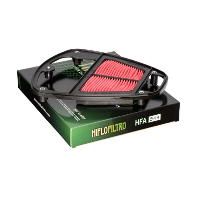 Filtro de aire HIFLOFILTRO - HFA2919 - motoscamaralweb.com