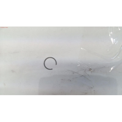 GRUPILLA PISTON DLM5301- motoscamaralweb.com
