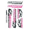 Hoja de adhesivos RENTHAL - motoscamaralweb.com