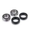 Kit de rodamientos de rueda FACTORY LINKS - motoscamaralweb.com