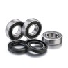 Kit de rodamientos de rueda FACTORY LINKS - motoscamaralweb.com