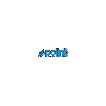 Cableado placa base POLINI EP3 - motoscamaralweb.com