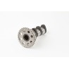 Arbol de levas HOT CAMS - Stage 1 Honda XR250R - motoscamaralweb.com