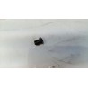 TORNILLO DPW3100G- motoscamaralweb.com