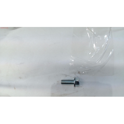 TORNILLO 8*20 DPW3100G- motoscamaralweb.com