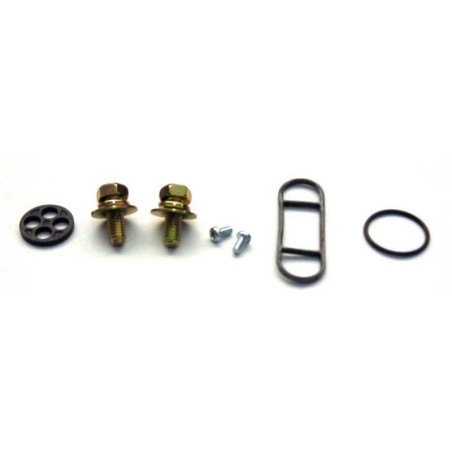 Kit Reparación grifo de gasolina KLX650 KDX FCK-19 - motoscamaralweb.com