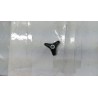 POMO TUERCA TAPA CORREA DTL 7000- motoscamaralweb.com