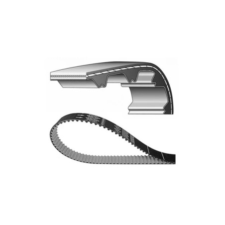 Correa de distribución DAYCO - motoscamaralweb.com