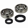 Kit de rodamientos y retenes de cigüeñal PROX - Suzuki RMX450Z / RMZ450 - motoscamaralweb.com