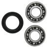 Kit de reparación de balancín HOT RODS - Honda CRF 250 R / RX- motosca
