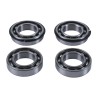 Kit de reparación de balancín HOT RODS - Polaris- motoscamaralweb.com