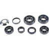 Kit de rodamientos caja de cambios HOT RODS - Kawasaki KX 250 F - motoscamaralweb.com