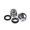Kit rodamientos de dirección FACTORY LINKS - motoscamaralweb.com