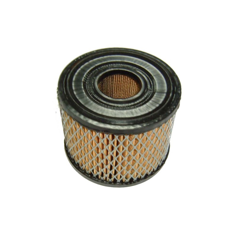 FILTRO AIRE AD BRIGGS (REF.ORIG. 390492)- motoscamaralweb.com
