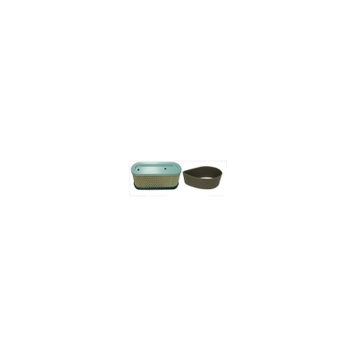 FILTRO AIRE ¬ESPUMA AD BRIGGS 10-12 HP - VERT- motoscamaralweb.com