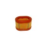 FILTRO AIRE AD BRIGGS (REF.ORIG. 790166)- motoscamaralweb.com