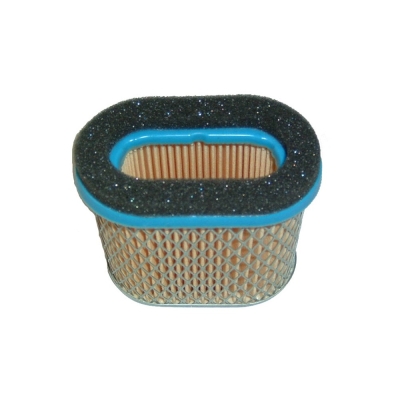 FILTRO AIRE AD BRIGGS 123600 (REF. ORI 692446)- motoscamaralweb.com
