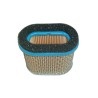 FILTRO AIRE AD BRIGGS 123600 (REF. ORI 692446)- motoscamaralweb.com