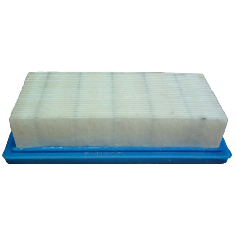 FILTRO AIRE AD BRIGGS. GEN. NELSON- motoscamaralweb.com