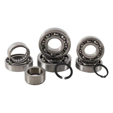 Kit de rodamientos de transmisión HOT RODS - motoscamaralweb.com