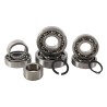 Kit de rodamientos de transmisión HOT RODS - motoscamaralweb.com