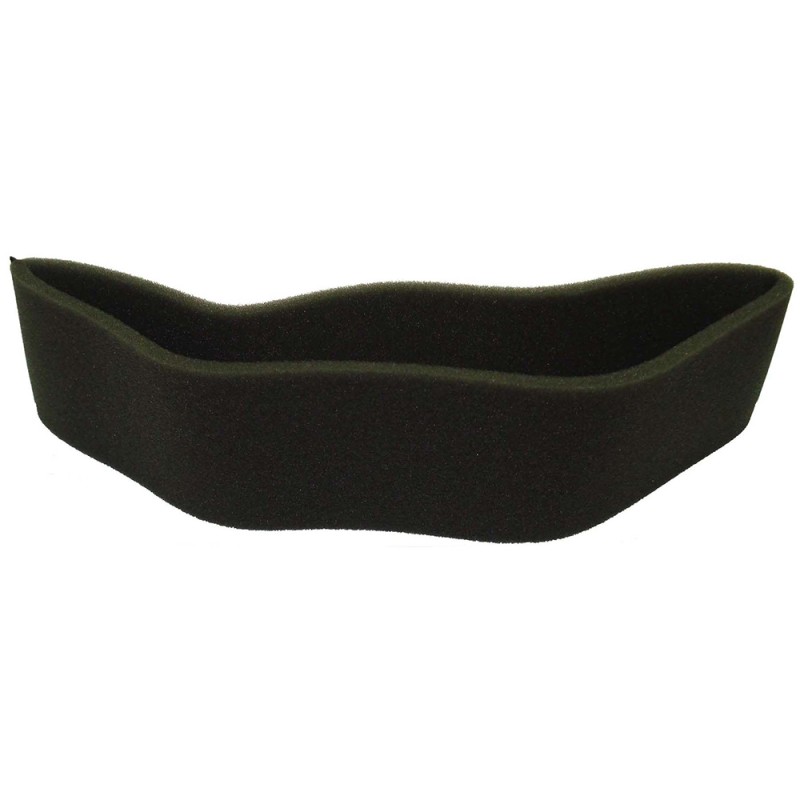 ELEMENTO DE FILTRO AIRE AD BRIGGS J.D. G14121- motoscamaralweb.com ELEMENTO DE FILTRO AIRE AD BRIGGS J.D. G14121- motoscamaralweb.com