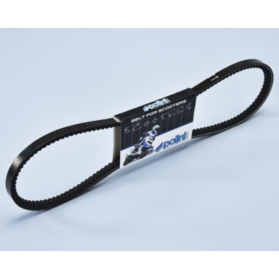 Correa POLINI sin variador - motoscamaralweb.com