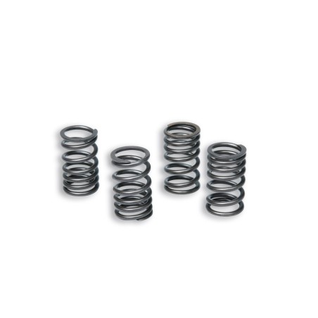 Kit de muelles de embrague MALOSSI Racing reforzados para embrague original - motoscamaralweb.com