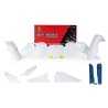Kit de plástica RACETECH (7 piezas ) - Color OEM - motoscamaralweb.com